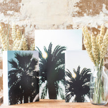 Charger l'image dans la galerie, Carnets - PALMIERS - 2 formats
