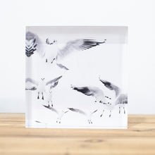 Charger l'image dans la galerie, Bloc Plexi 10x10 cm - MOUETTES PARIS
