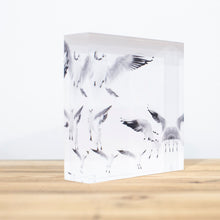 Charger l'image dans la galerie, Bloc Plexi 10x10 cm - MOUETTES PARIS
