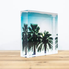Charger l'image dans la galerie, Bloc Plexi 10x10 cm - PALMIERS
